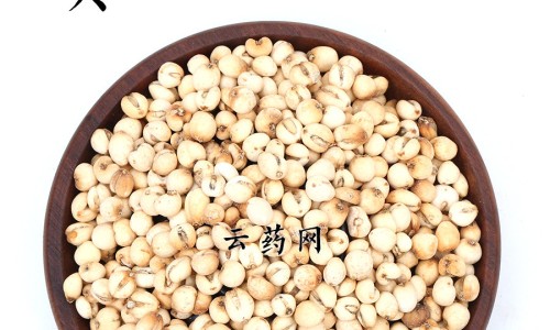 黄稔的功效网 | 黄稔草图片与功效,黄笒的功效与作用